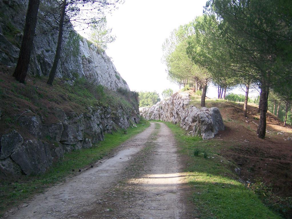 Il Triclinio B&B Πιάτσα Αρμερίνα Εξωτερικό φωτογραφία